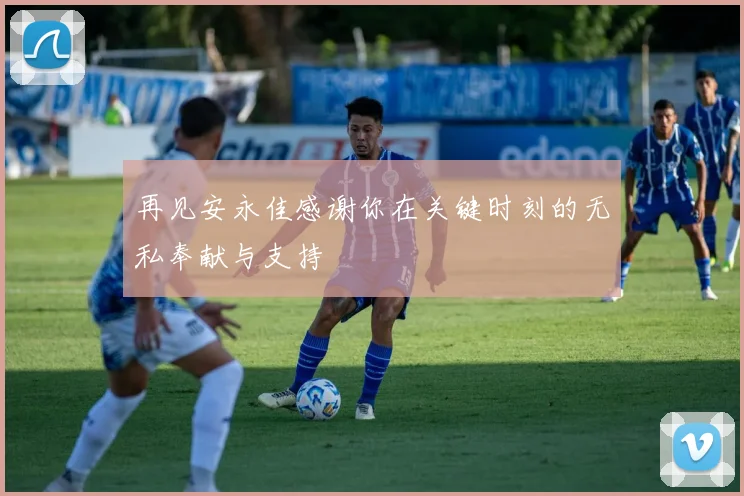 再见安永佳感谢你在关键时刻的无私奉献与支持